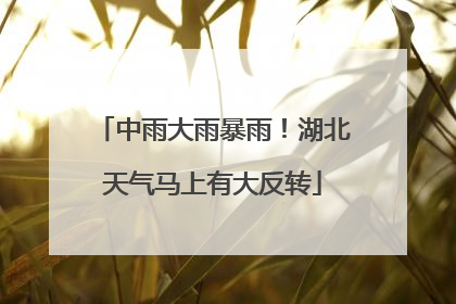 中雨大雨暴雨！湖北天气马上有大反转