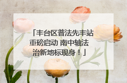 丰台区普法先丰站重磅启动 南中轴法治新地标现身！