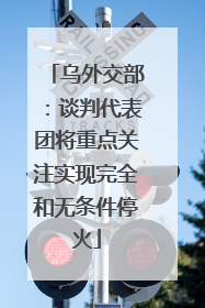 乌外交部：谈判代表团将重点关注实现完全和无条件停火