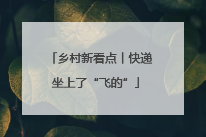 乡村新看点丨快递坐上了“飞的”