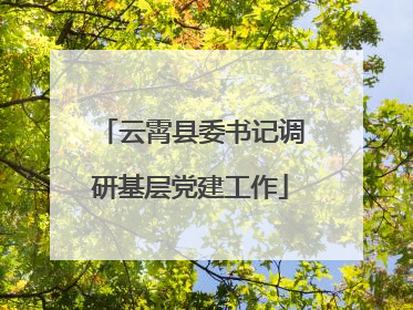云霄县委书记调研基层党建工作