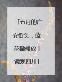 五月的广安街头，蓝花楹盛放丨镜观四川