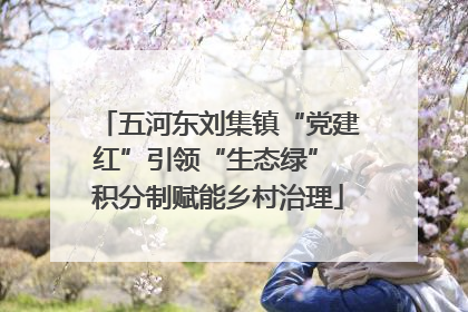五河东刘集镇“党建红”引领“生态绿” 积分制赋能乡村治理