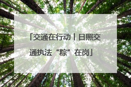 交通在行动丨日照交通执法“粽”在岗