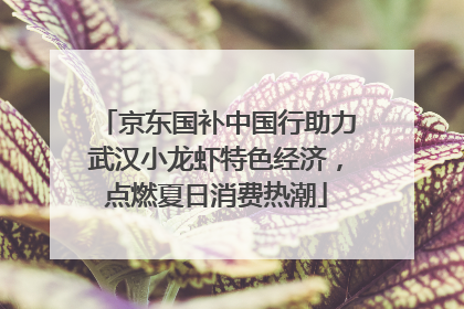 京东国补中国行助力武汉小龙虾特色经济，点燃夏日消费热潮