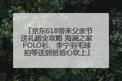 京东618带来父亲节送礼超全攻略 海澜之家POLO衫、李宁羽毛球拍等送到爸爸心坎上