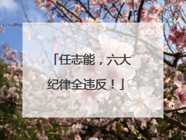 任志能，六大纪律全违反！