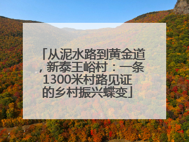 从泥水路到黄金道，新泰王峪村：一条1300米村路见证的乡村振兴蝶变