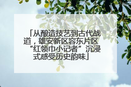 从酿造技艺到古代战道，雄安新区容东片区“红领巾小记者”沉浸式感受历史韵味