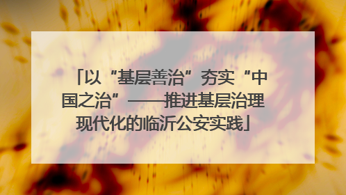 以“基层善治”夯实“中国之治”——推进基层治理现代化的临沂公安实践