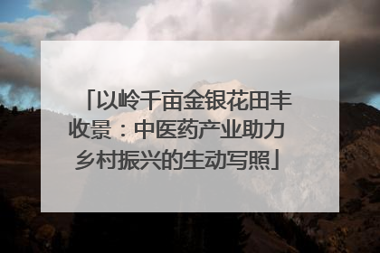 以岭千亩金银花田丰收景：中医药产业助力乡村振兴的生动写照