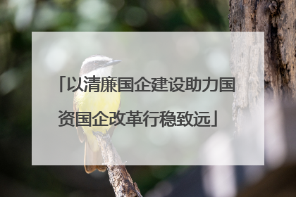 以清廉国企建设助力国资国企改革行稳致远