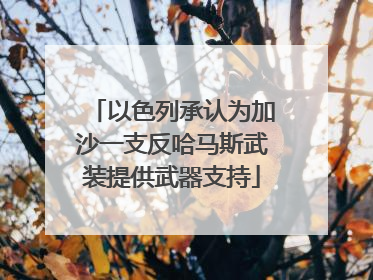 以色列承认为加沙一支反哈马斯武装提供武器支持
