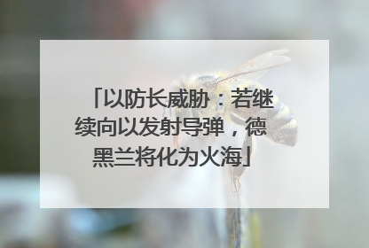 以防长威胁：若继续向以发射导弹，德黑兰将化为火海