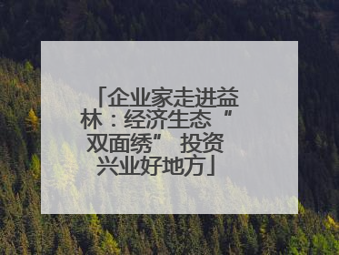 企业家走进益林：经济生态“双面绣” 投资兴业好地方