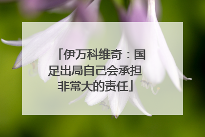 伊万科维奇：国足出局自己会承担非常大的责任