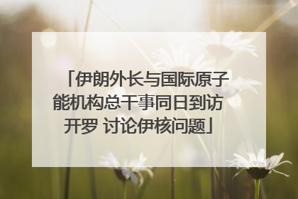 伊朗外长与国际原子能机构总干事同日到访开罗 讨论伊核问题