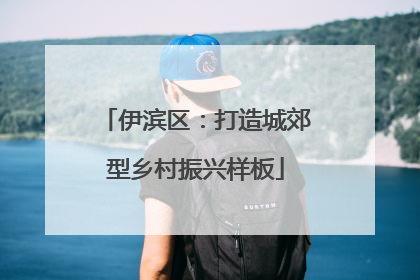 伊滨区：打造城郊型乡村振兴样板
