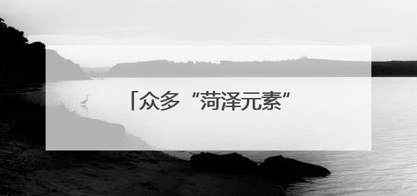 众多“菏泽元素”亮相深圳文博会