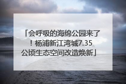 会呼吸的海绵公园来了！杨浦新江湾城7.35公顷生态空间改造焕新