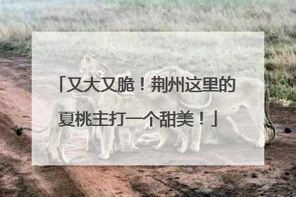 又大又脆！荆州这里的夏桃主打一个甜美！
