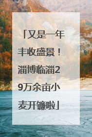 又是一年丰收盛景！淄博临淄29万余亩小麦开镰啦