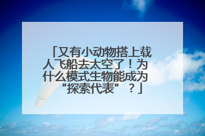 又有小动物搭上载人飞船去太空了！为什么模式生物能成为“探索代表”？