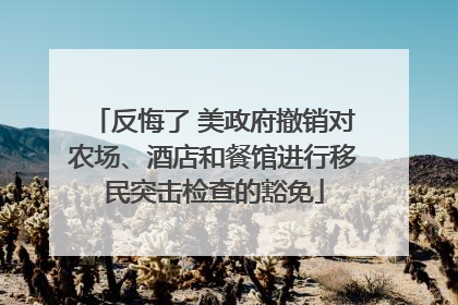 反悔了 美政府撤销对农场、酒店和餐馆进行移民突击检查的豁免