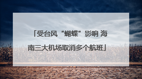 受台风“蝴蝶”影响 海南三大机场取消多个航班