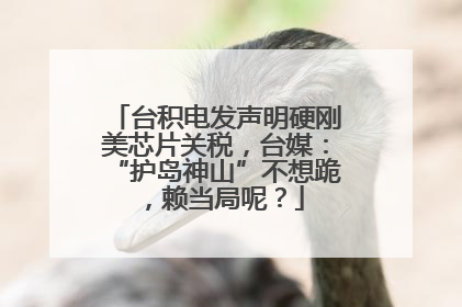 台积电发声明硬刚美芯片关税，台媒：“护岛神山”不想跪，赖当局呢？