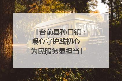 台前县孙口镇：暖心守护践初心 为民服务显担当