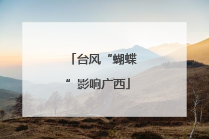 台风“蝴蝶”影响广西