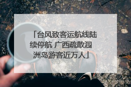 台风致客运航线陆续停航 广西疏散涠洲岛游客近万人
