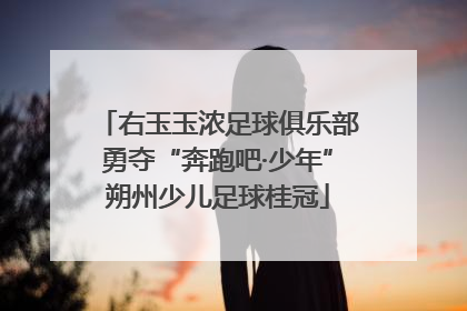 右玉玉浓足球俱乐部勇夺“奔跑吧·少年”朔州少儿足球桂冠