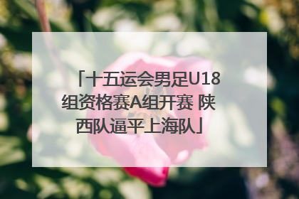 十五运会男足U18组资格赛A组开赛 陕西队逼平上海队
