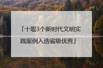 十堰3个新时代文明实践案例入选省级优秀