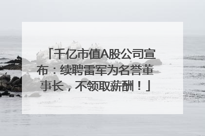 千亿市值A股公司宣布：续聘雷军为名誉董事长，不领取薪酬！