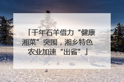 千年石羊借力“健康湘菜”突围，湘乡特色农业加速“出省”