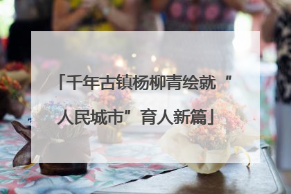 千年古镇杨柳青绘就“人民城市”育人新篇
