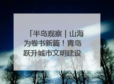 半岛观察｜山海为卷书新篇！青岛跃升城市文明建设“新航线”