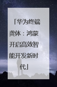 华为终端龚体：鸿蒙开启高效智能开发新时代