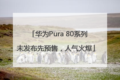 华为Pura 80系列未发布先预售，人气火爆