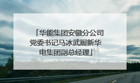 华能集团安徽分公司党委书记马冰武履新华电集团副总经理