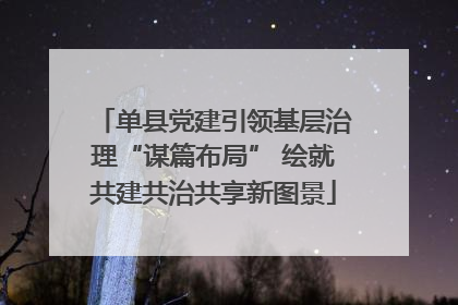 单县党建引领基层治理“谋篇布局” 绘就共建共治共享新图景
