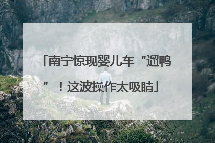南宁惊现婴儿车“遛鸭”！这波操作太吸睛