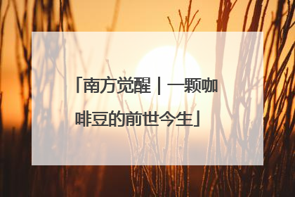 南方觉醒｜一颗咖啡豆的前世今生