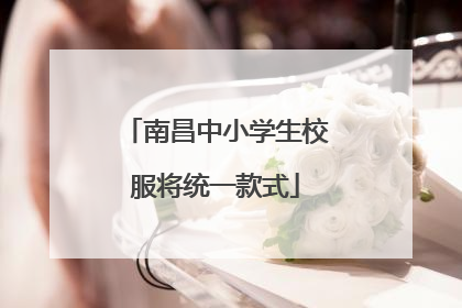 南昌中小学生校服将统一款式
