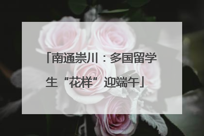 南通崇川：多国留学生“花样”迎端午