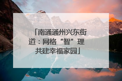 南通通州兴东街道：网格“智”理 共建幸福家园
