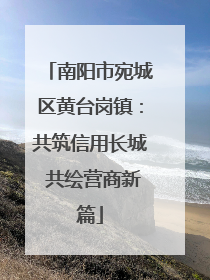 南阳市宛城区黄台岗镇：共筑信用长城 共绘营商新篇